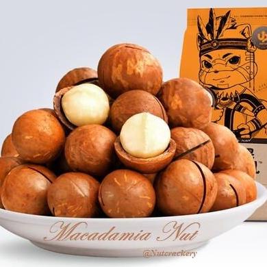 

KACANG MACADAMIA 160G X 2 ORIGINAL RASA CREAMY MATANG THREE SQUIRRELS