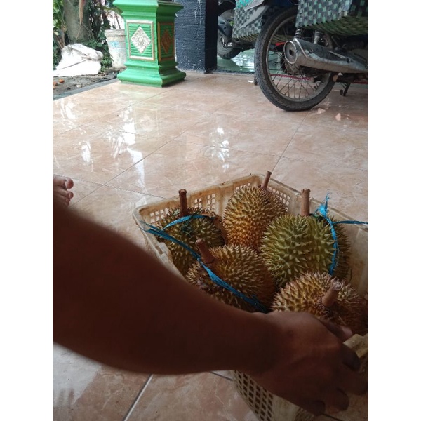 

Duren Bawur