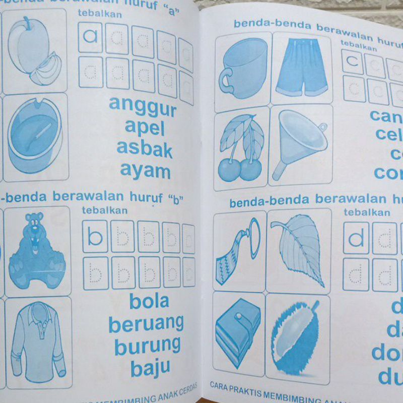 Buku Cara Praktis Membimbing Anak Cerdas