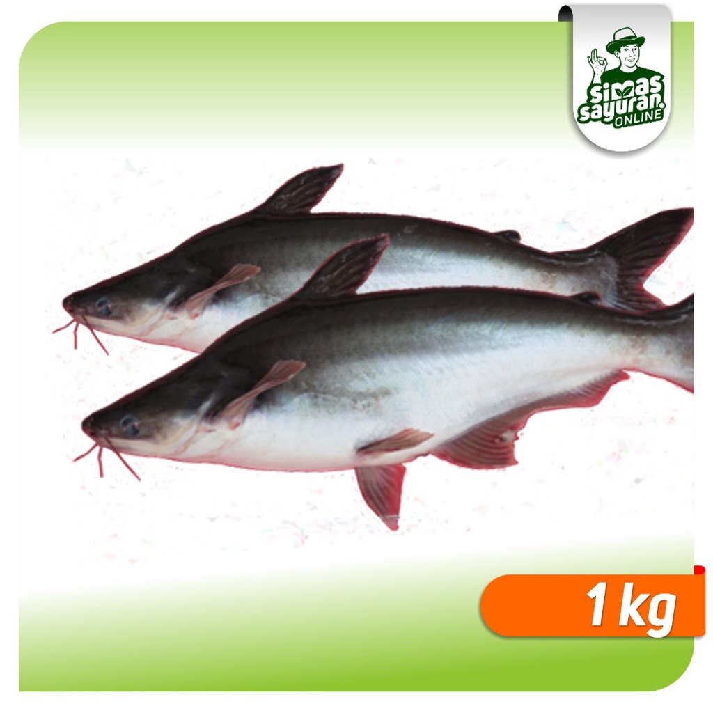 

Ikan Patin Bersih 1 kg