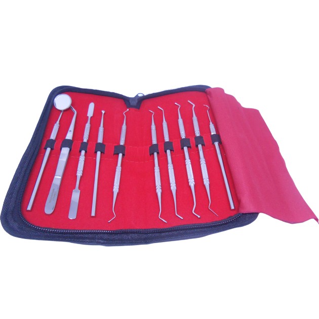 Dental Instrument Kit Compact Atau China Instrumen Diagnostic Set