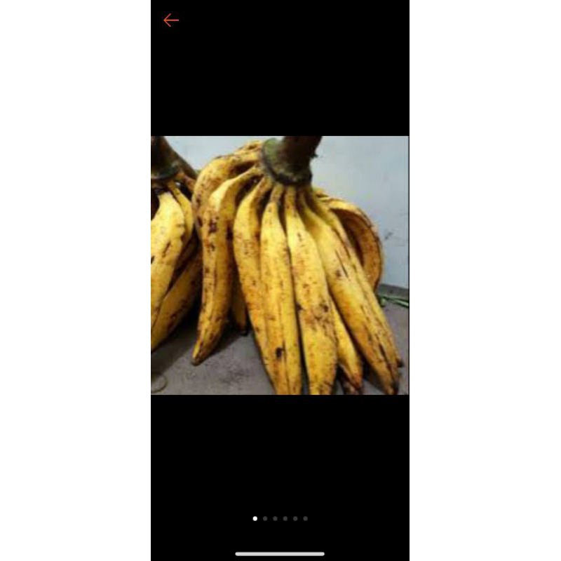 

pisang galek / raja pisang -biji