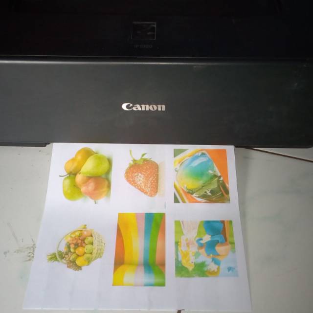 Printer Canon ip1980 infus harus print seting tinggi