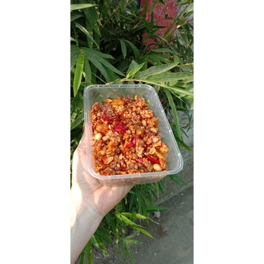 

kering tempe kemasan tepak (po)