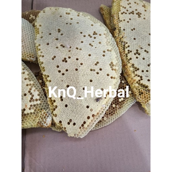 Larva Lebah Telur Lebah Asli