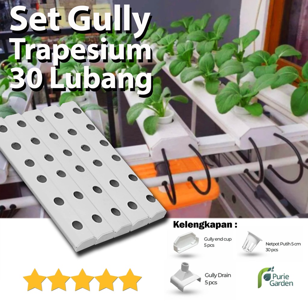 Hidroponik Set Gully Trapesium 30 Lubang