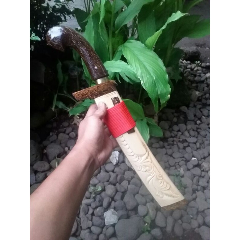 

golteb
