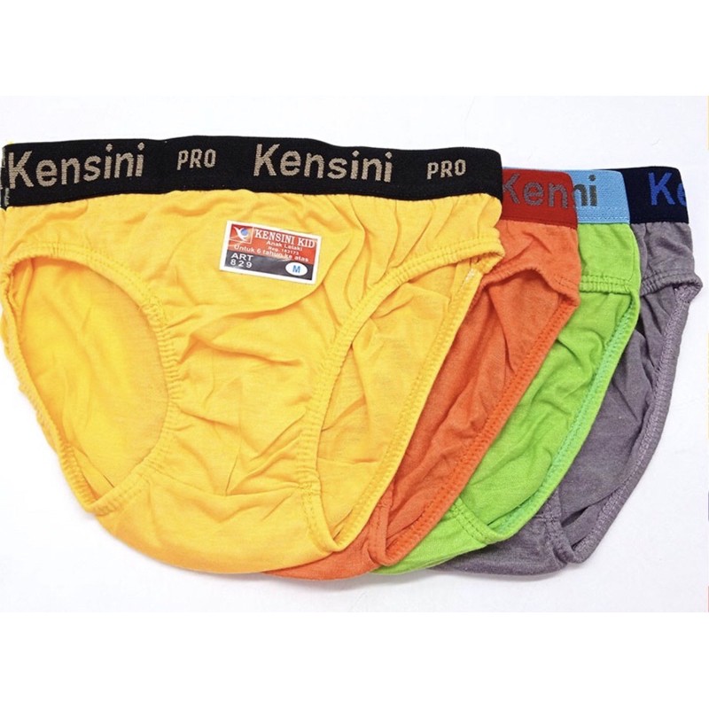 12 PCS CELANA DALAM ANAK LAKI KENSINI KIDS  / LUSINAN