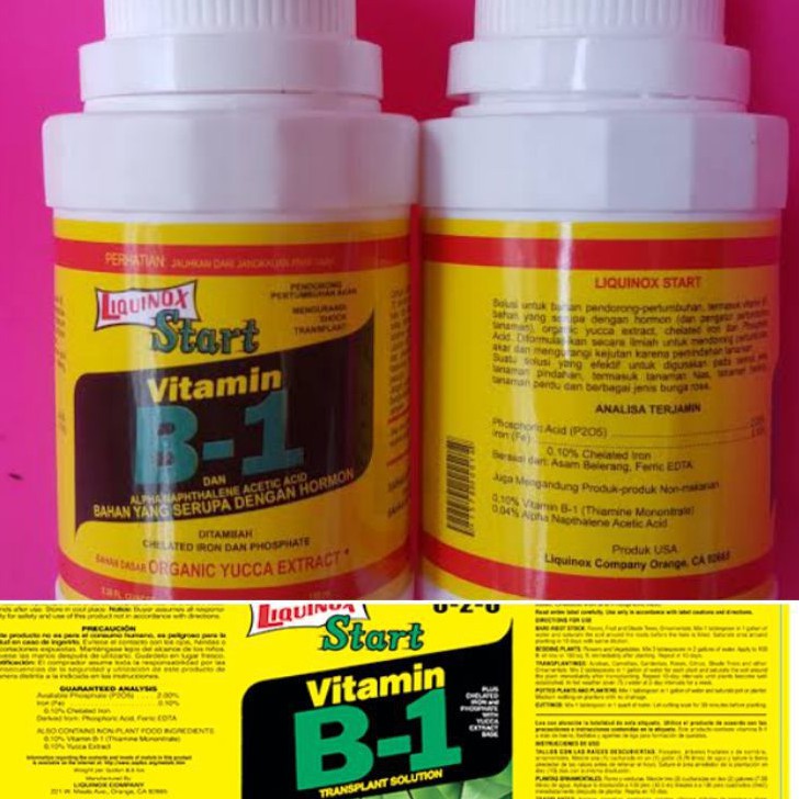 B-1 Vitamin Pupuk ZPT Untuk Semua Jenis Tanaman Hias
