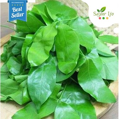 

Daun Melinjo 90 - 100 Gram Fresh Belinjo Leaf Sayur Hijau Tangkil Segar