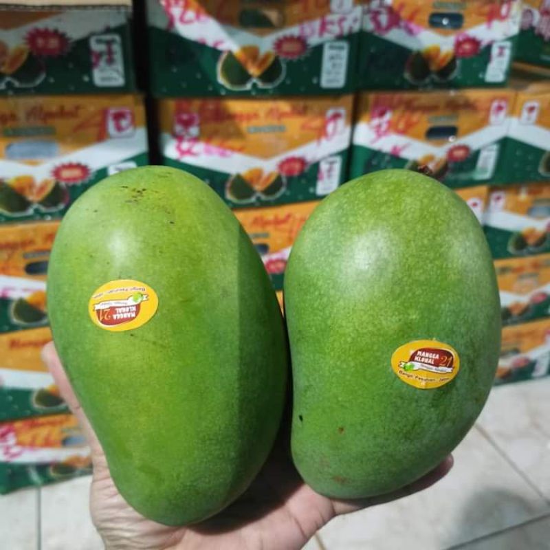 

Buah Mangga harumanis Masak Pohon 1kg