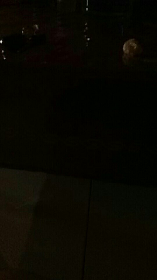 Pembersih Debu Pakaian Pembersih Debu Ketombe Mini Lint Roller Travel Dust Roller