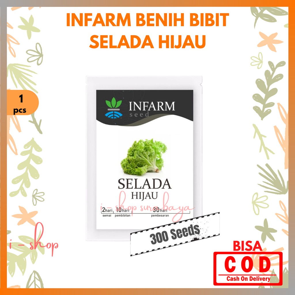Infarm Benih Bibit Super Selada Hijau / Biji Sayuran Selada Hijau / Benih Super Sayuran Selada