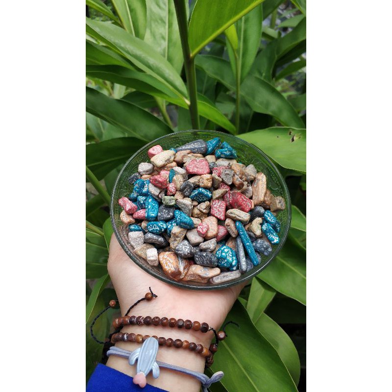 COKELAT KERIKIL IMPORT MESIR 100%