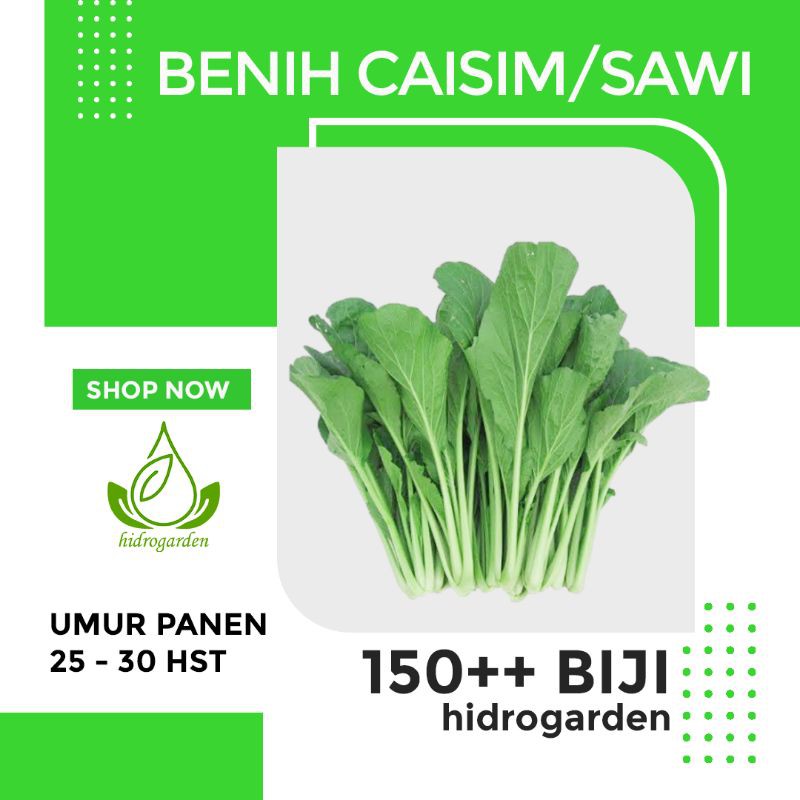 Benih Caisim/Sawi TOSAKAN