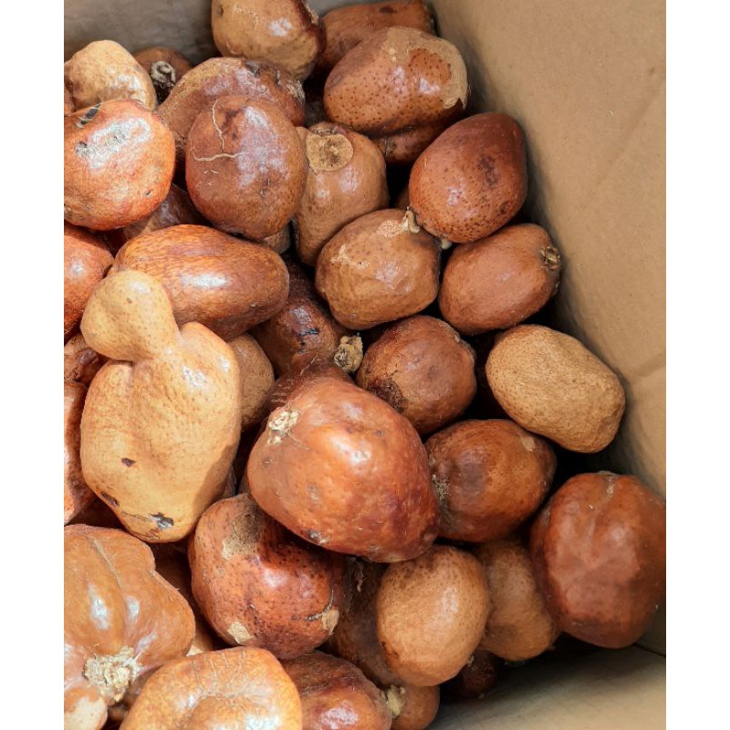 

Buah Zuriat Mesir Program Hamil