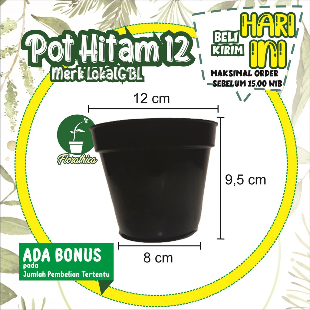 Pot Bunga Hitam GBL Polos Diameter 12 Cm Mengkilap Untuk Kaktus Sukulen Shopee Indonesia
