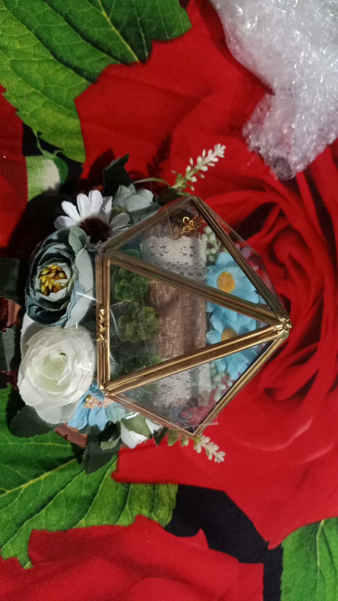 Terarium Ringbox Plus Wood Slice / Ringbox Rustic Wooden Slice