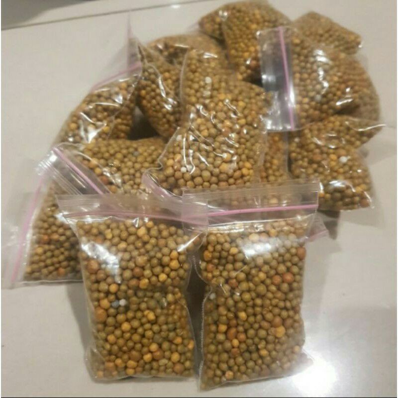 Pupuk Dekastar slow realese / pupuk kaktus lithops Aglonema bunga buah