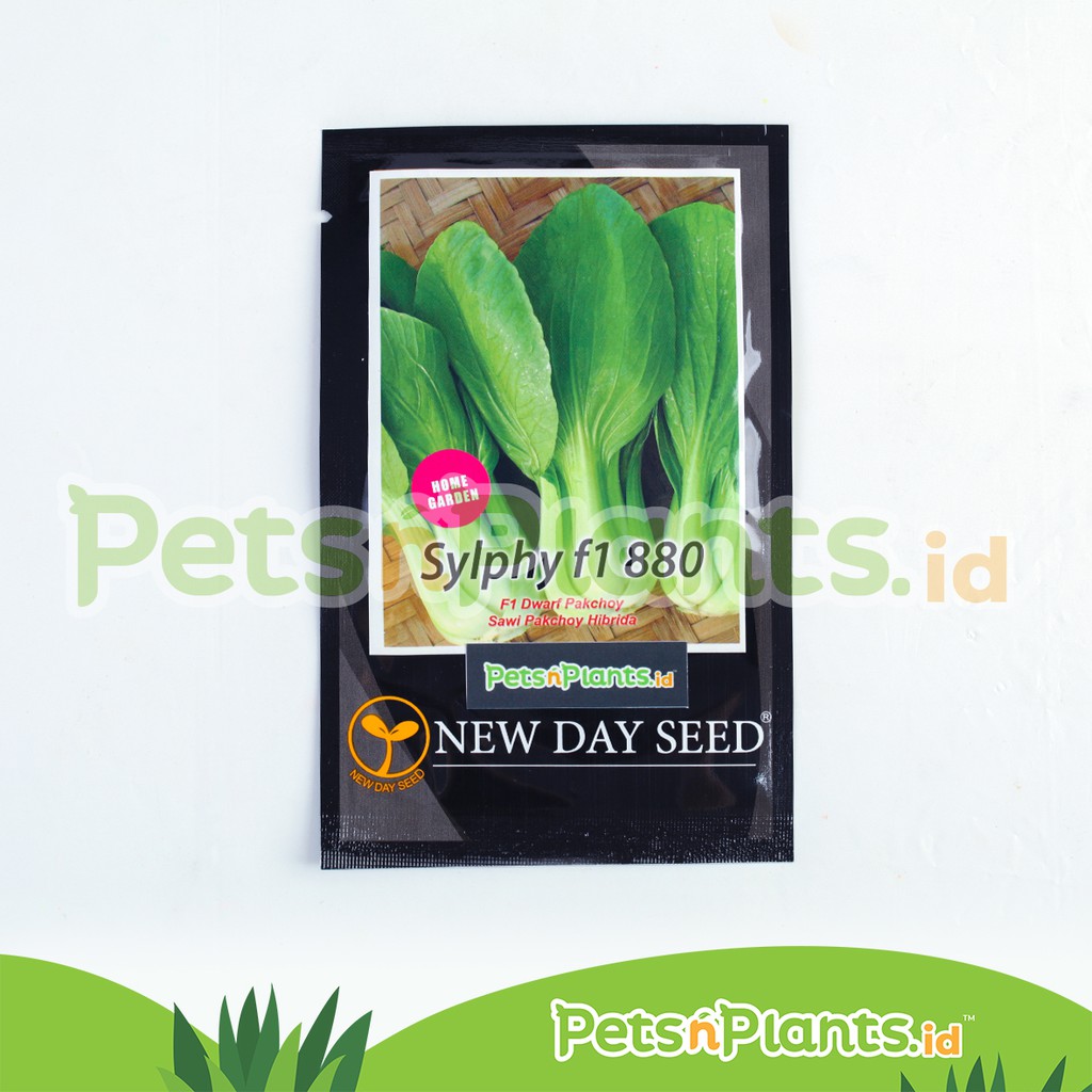 Bibit Sawi Hibrida Dwarf Pakchoy Sylphy New Day Seed