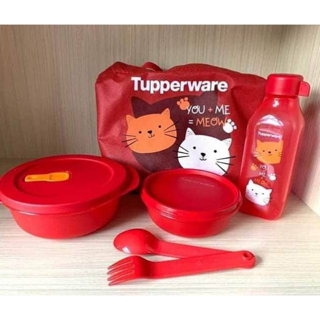 Simply lunch set