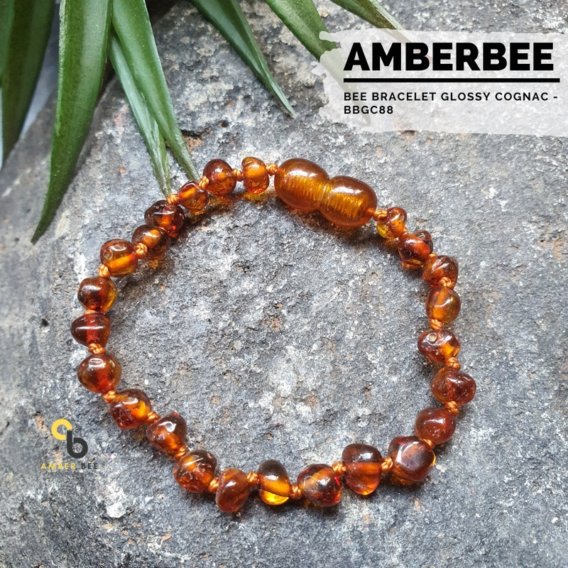 Gelang Amber Baltic Lithuania Balita &amp;  Anak Premium Glossy Cognac BBGC88 by Amber Bee