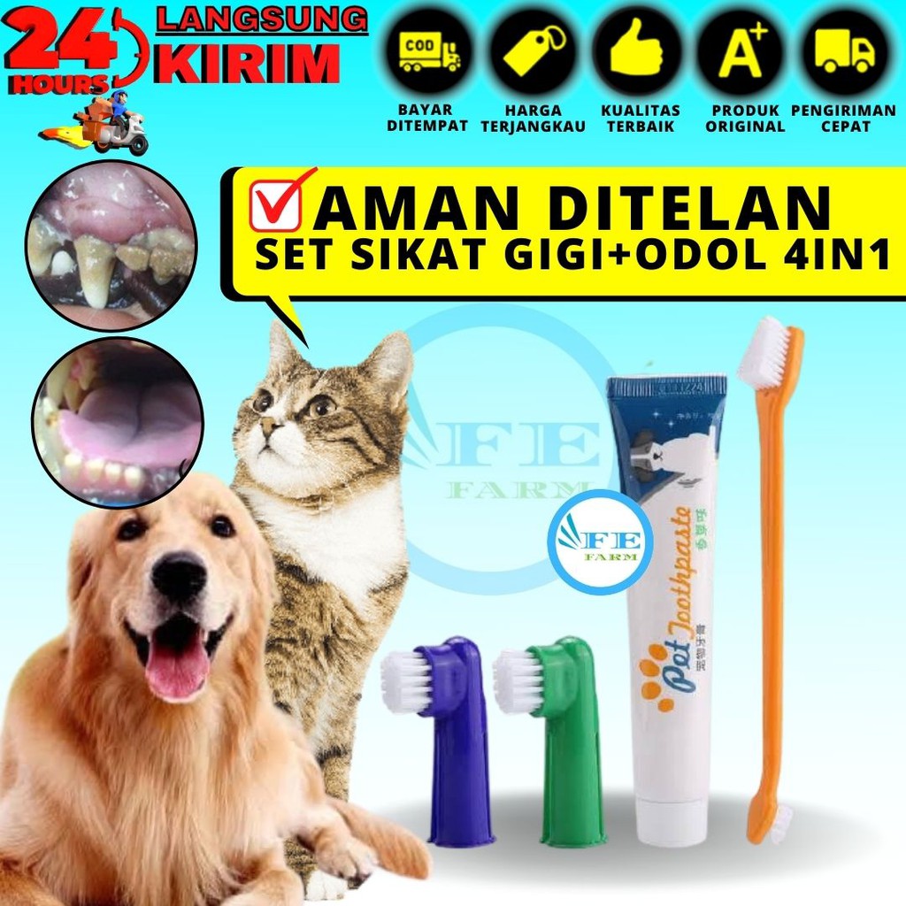 4 in 1 Set Sikat Gigi dan Odol Anjing Kucing Dog Tooth Brush and Paste FEFARM