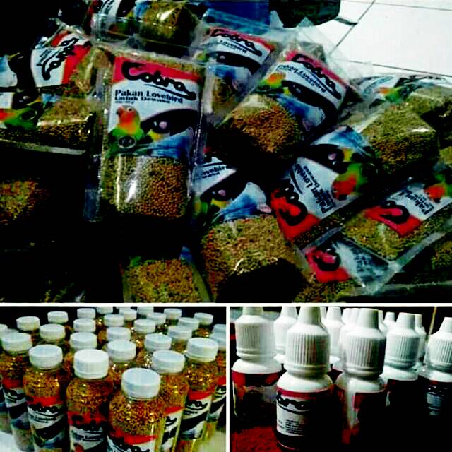 PAKET COBRA BALIBU