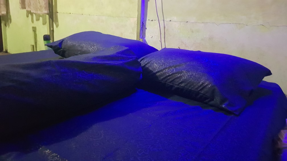 Sprei Motif Zootopia