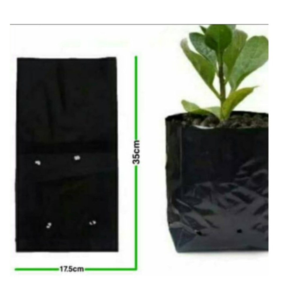 Plastik Tanam - Polibag 35x35cm