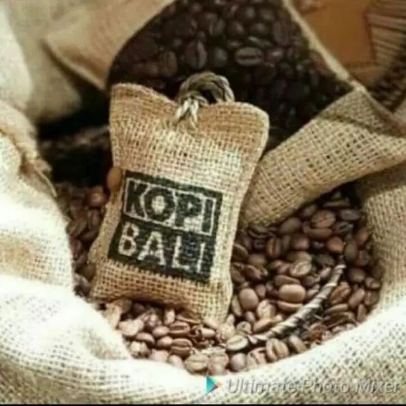 Parfum Kopi Bali Pewangi Pengharum Menghilangkan bau pada Mobil Lemari Parfum Gantung Biji Kopi Asli