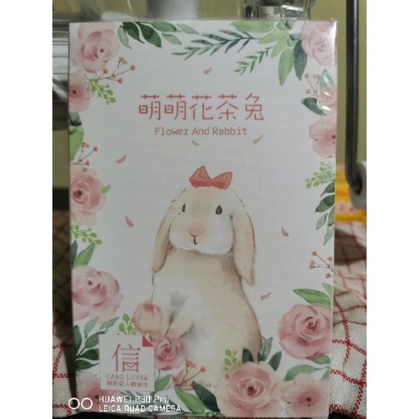 

kartu pos kelinci/rabbit postcard