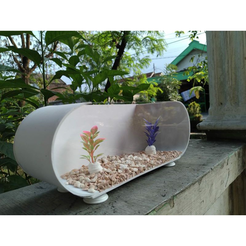 Aquarium Akrilik Minimalis ( 30 cm x 10 cm x 11 cm )