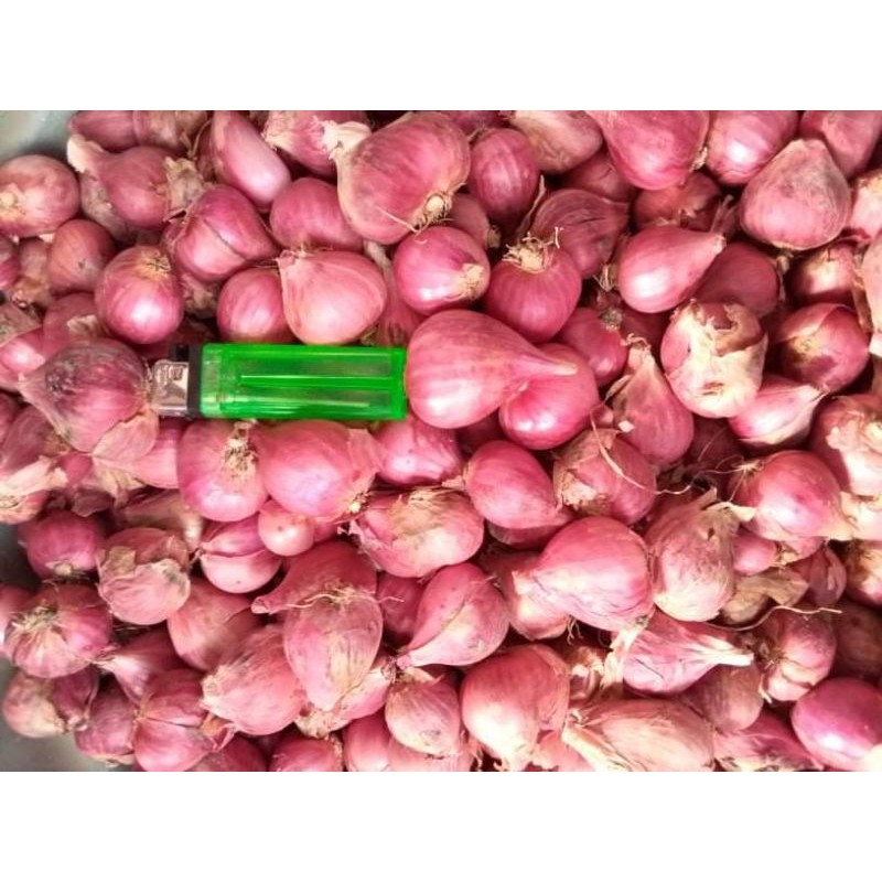 

bawang merah brebes
