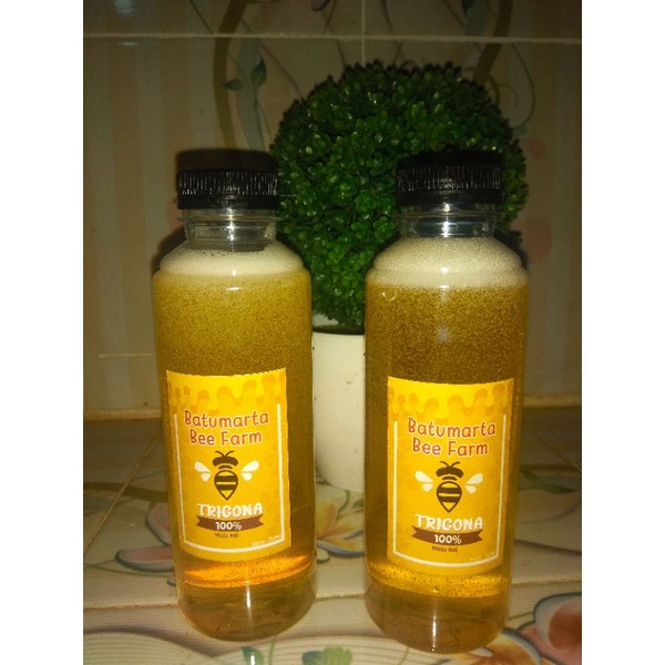 

madu klanceng murni 100% madu asli kemasan 250ml