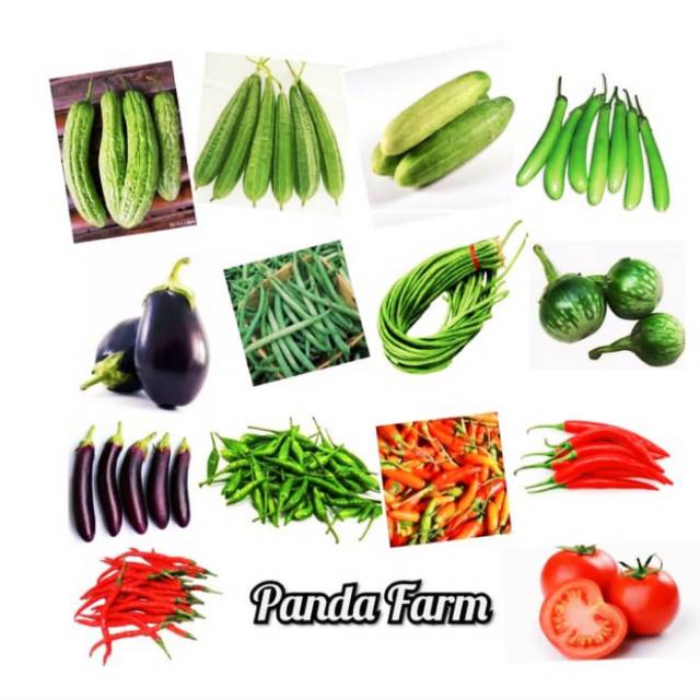 Benih Sayuran Paket Hemat 14 Benih Sayuran Buah Promo / Bibit Tanaman Buah Dan Sayuran