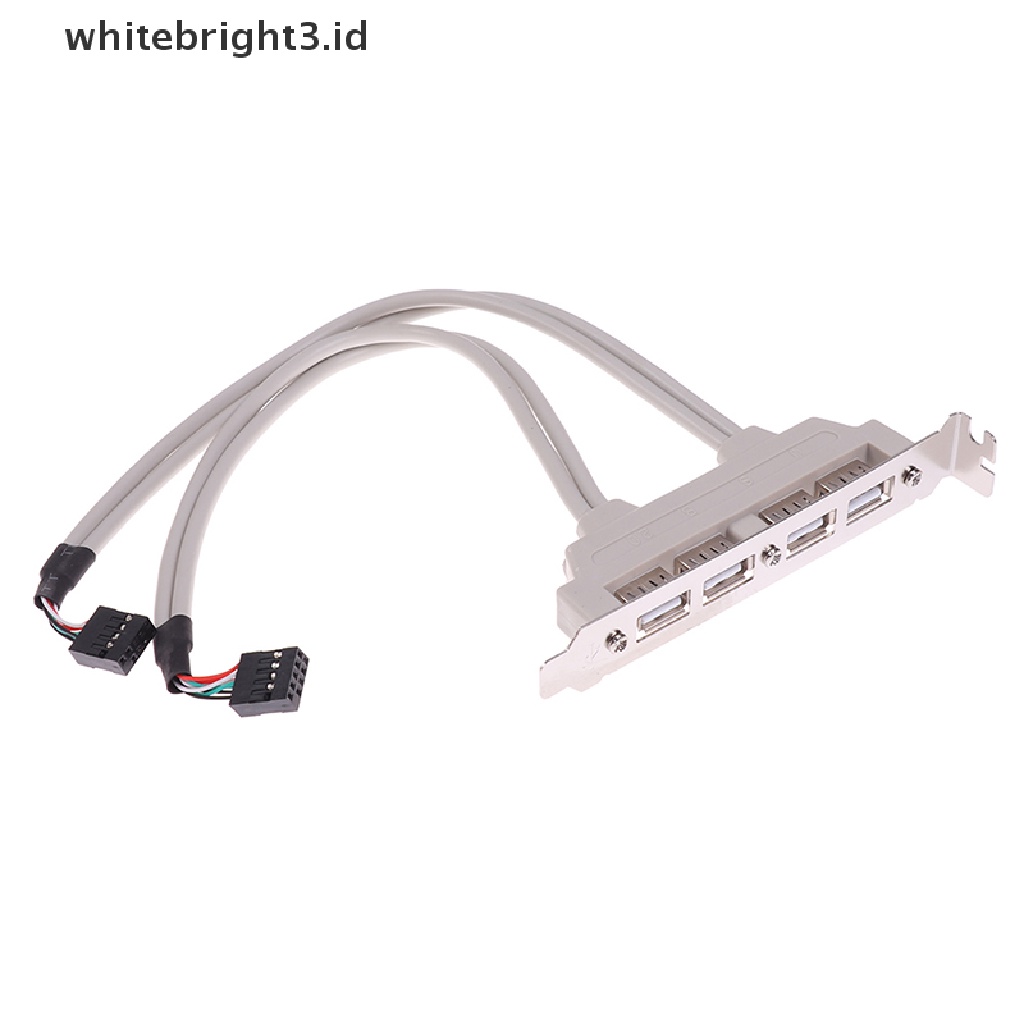 (whitebright3.id) Kabel Extension 4 Port USB 2.0 Ke 9 Pin Untuk Panel PC