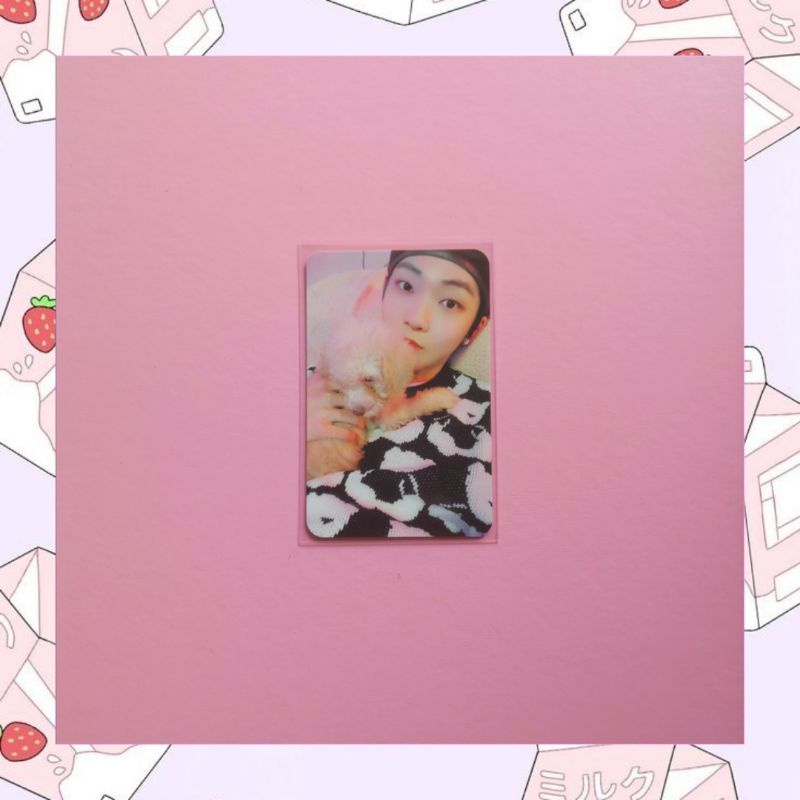 THE BOYZ Kevin Photocard [Chase Album, WD3 Puppy]