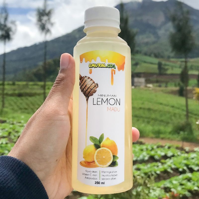 

Sari Lemon Madu (Mondu) Siap Minum 250 ml by Limural.Co