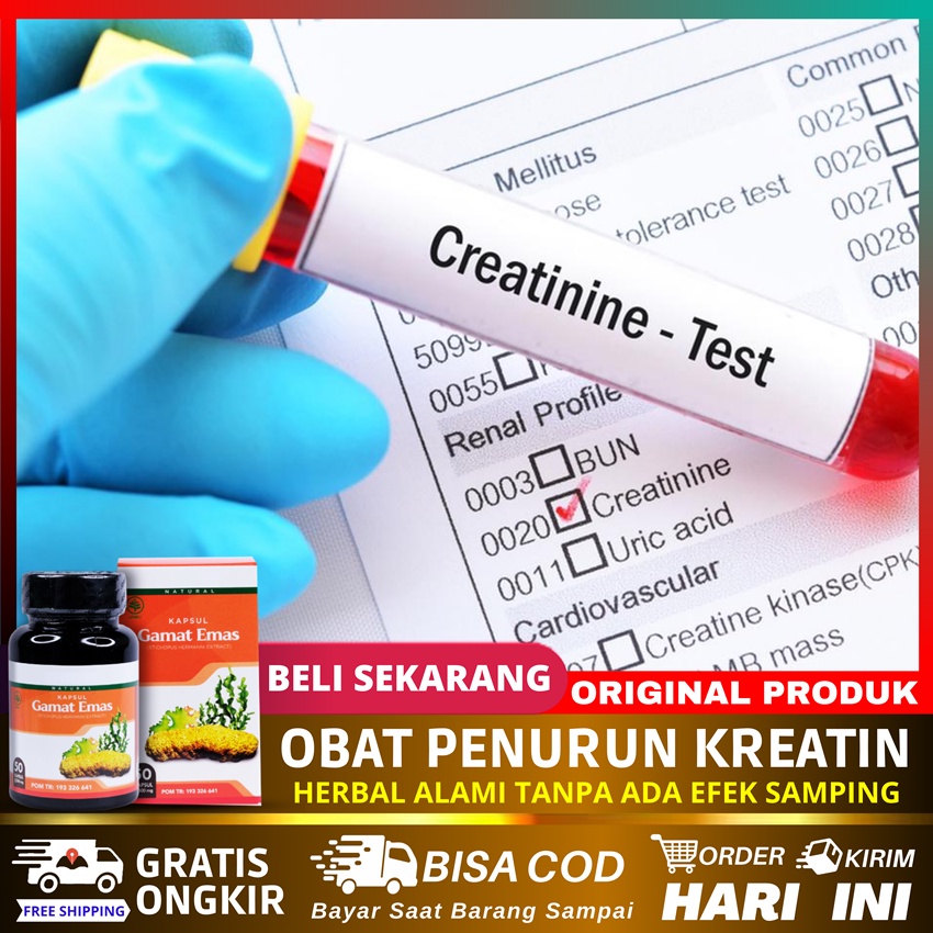 Obat Penurun Kreatinin, Obat Herbal Penurun Kadar Ureum Dan Kreatinin Tinggi, Menurunkan Kreatin Dal