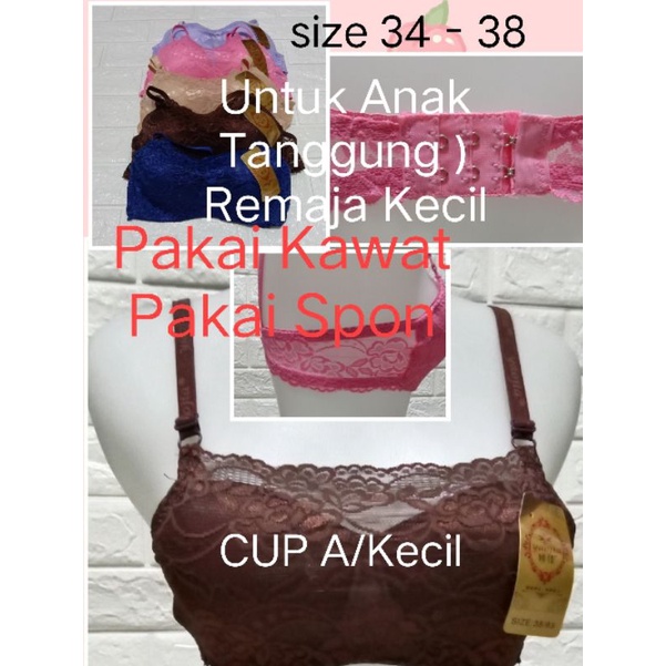 BH Pelajar/Anak tanggung/ABG  CUP A(kecil)328/3377 pakai kawat Pakai Spon SIZE 34 - 38