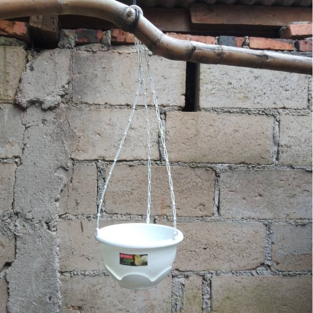 Pot  gantung lion star clover 06 putih