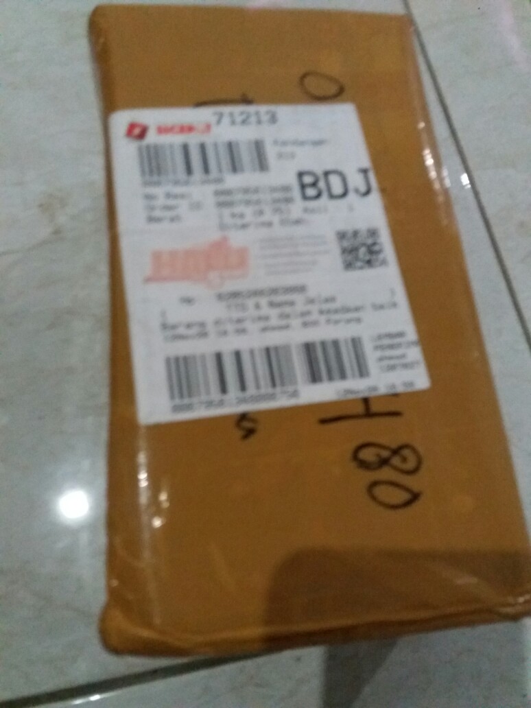 Tanaman Hias Kucai Mini