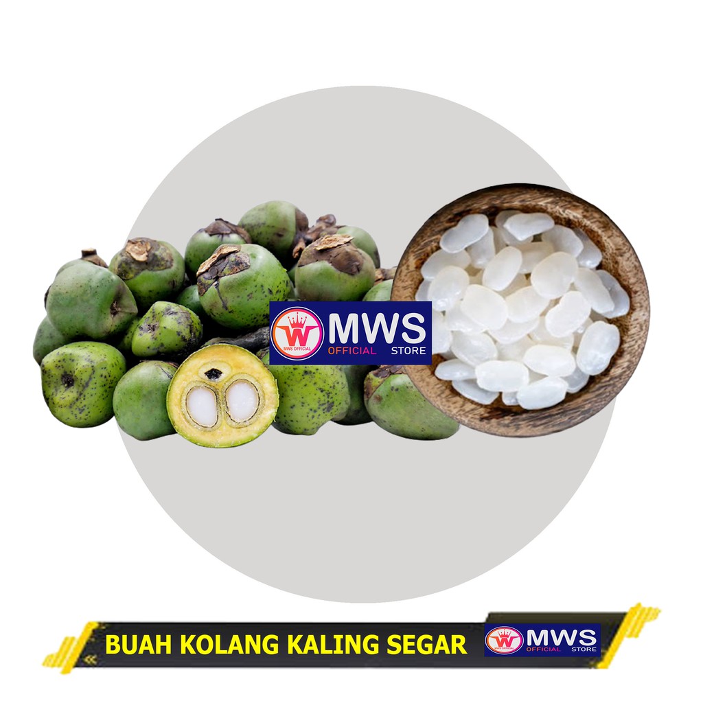 BUAH KOLANG KALING SEGAR MATENG BUAH AREN ( MWS OFFICIAL STORE )