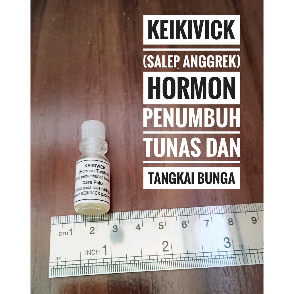 Keikivick Hormon oles penumbuh tunas anggrek