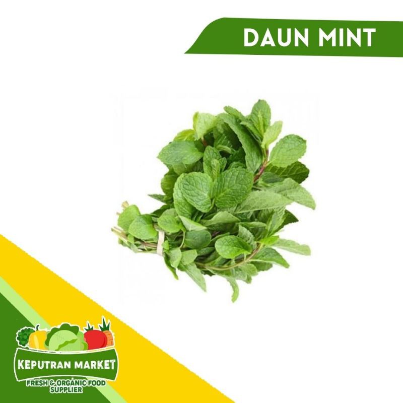

[SAYUR EMAK] DAUN MINT 500 GRAM / PRODUK LANGKA