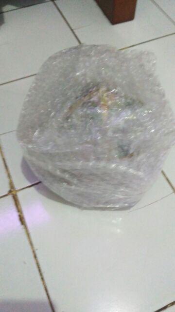 Ring Bearer Tempat Cincin Kaca Terarium