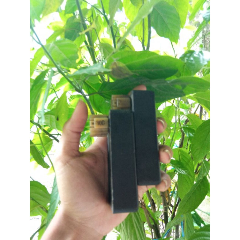 CDI SHOGUN 110 ORI SOGUN KEBO ORIGINAL COPOTAN SUZUKI NO LIMIT