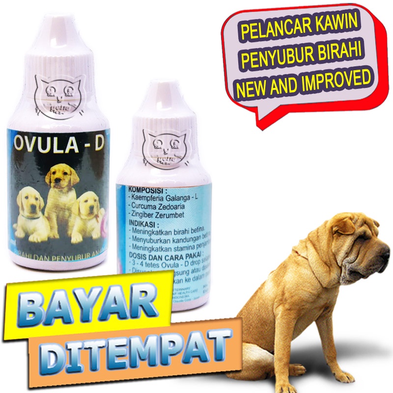 Ovula D Vitamin Kawin Anjing Obat Penyubur Birahi