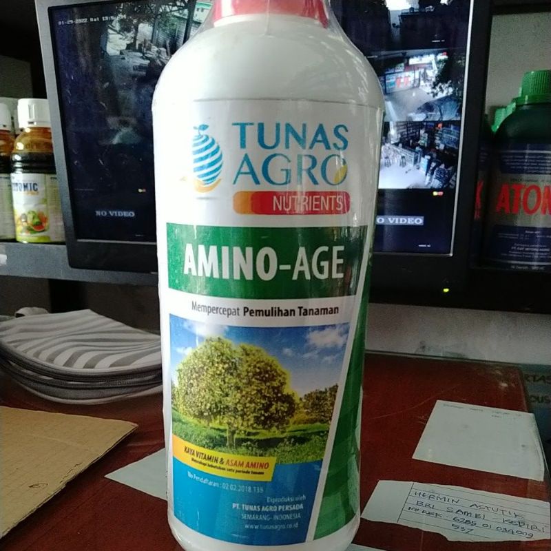 PROMO>>AMINO AGE-ASAM AMINO-TUNAS AGRO